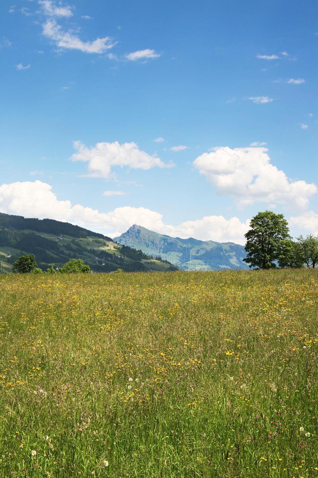 Hotel Loipenstubn Brixen im Thale Esterno foto